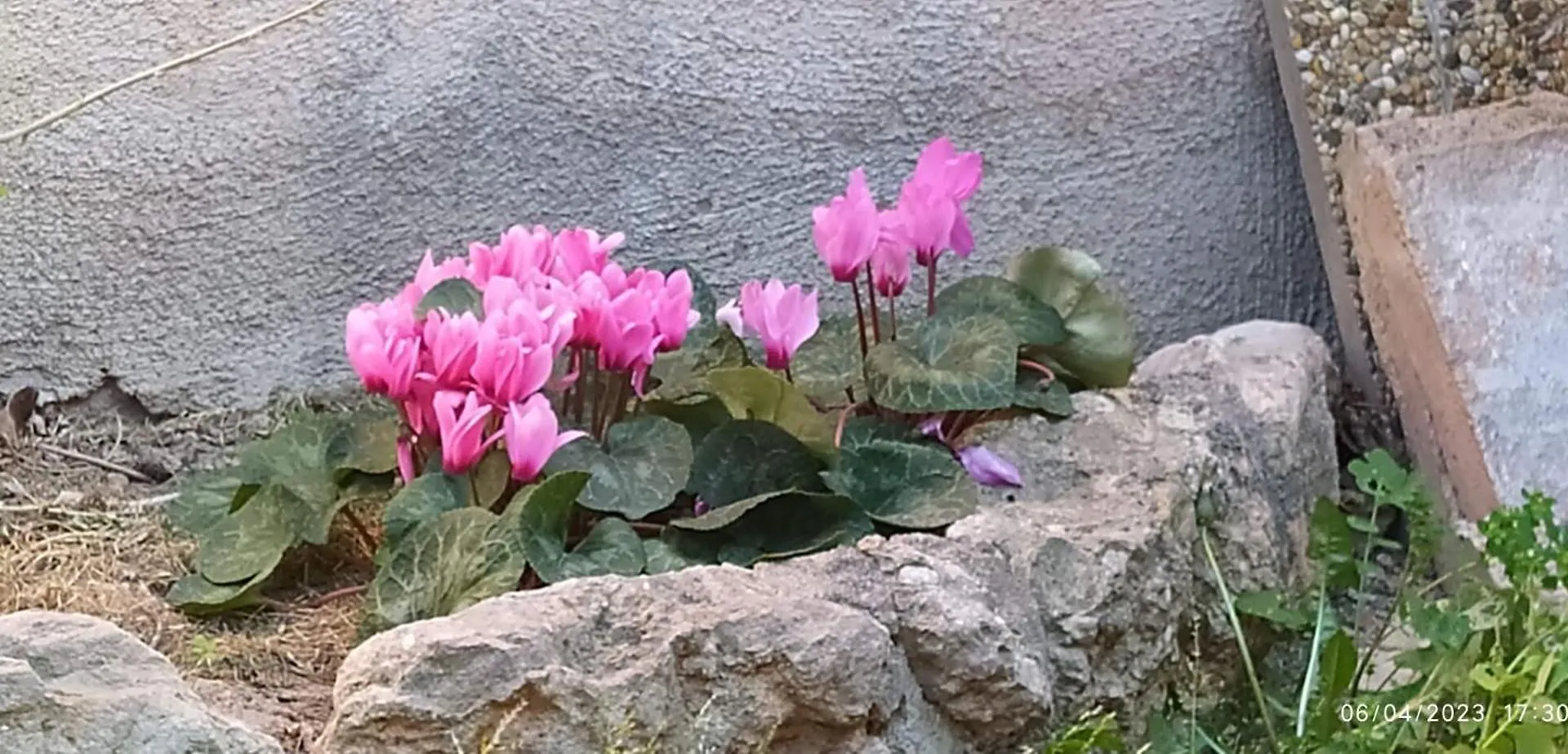 Cal Fardassa Gelida